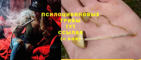 герыч Богородицк