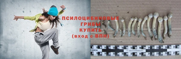 тгк Бугульма