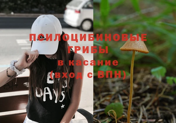 наркотики Богданович